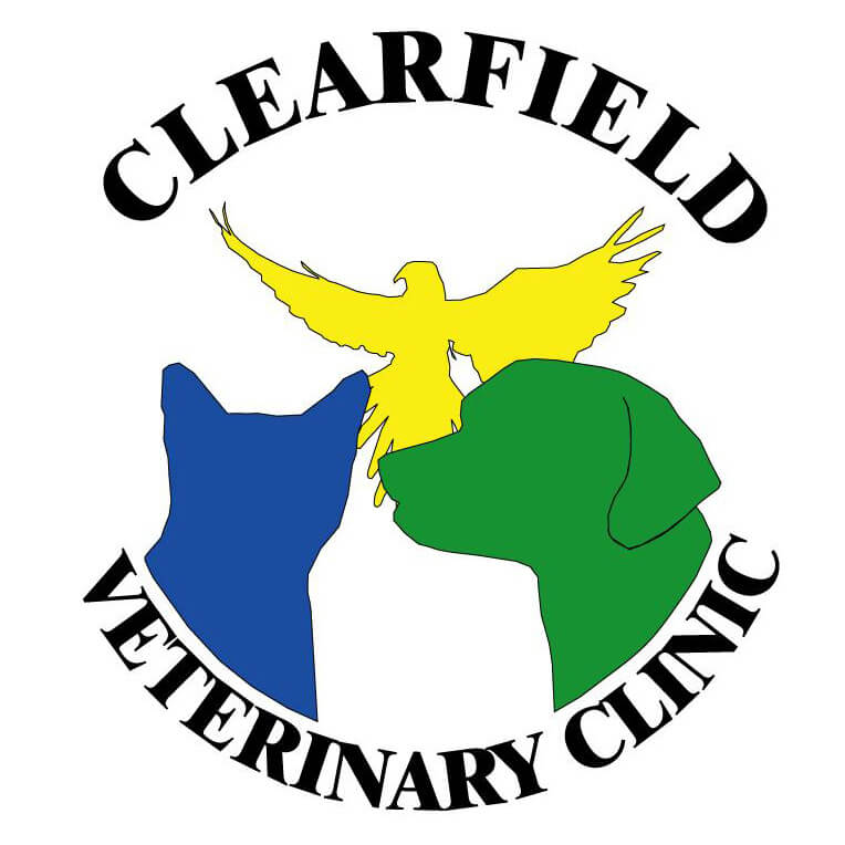 Clearfield Veterinary Clinic P.C.